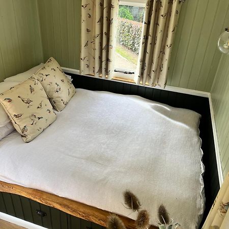 Hotel Stonehenge Campsite & Glamping à Berwick St James Extérieur photo