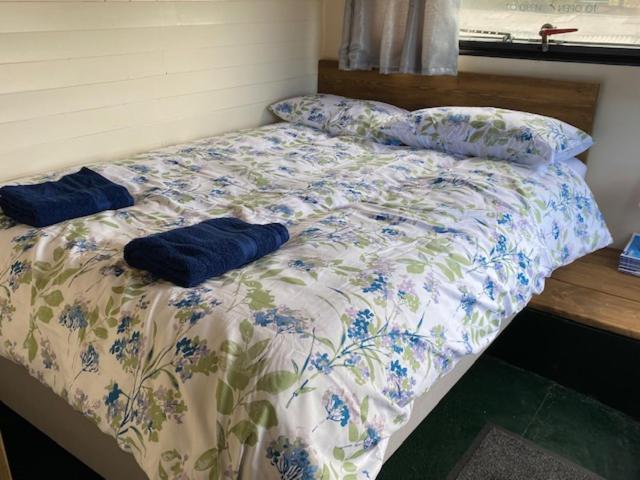 Hotel Stonehenge Campsite & Glamping à Berwick St James Extérieur photo